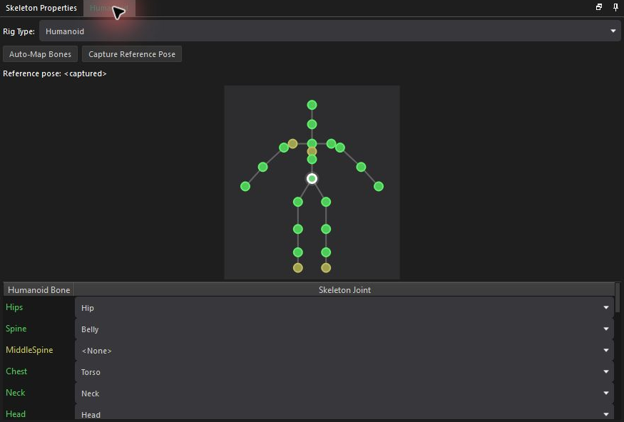 Humanoid mapping tab with rig controls and bone slots