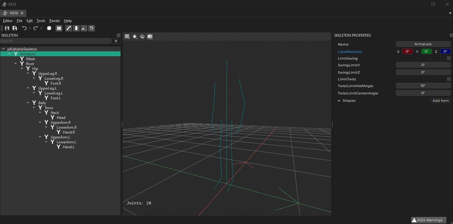 Skeleton Asset Skeleton Asset